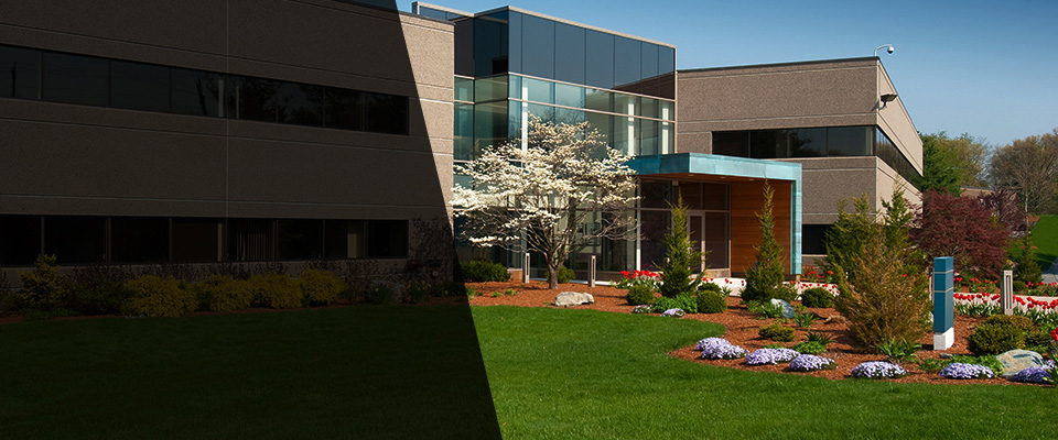 Hacienda Heights Landscapers