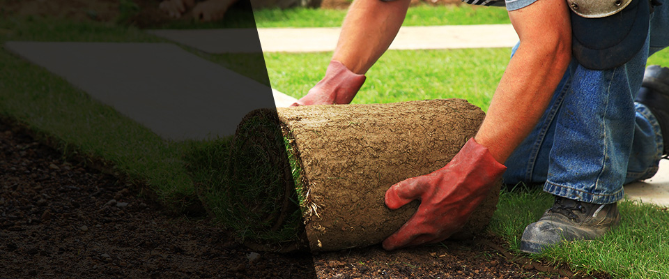 Hacienda Heights Landscapers